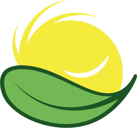Logo Toustes en colo