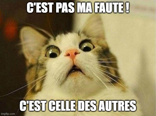 Image de personne qui dit "ce n'est pas ma faute, c'est celle des autres"
